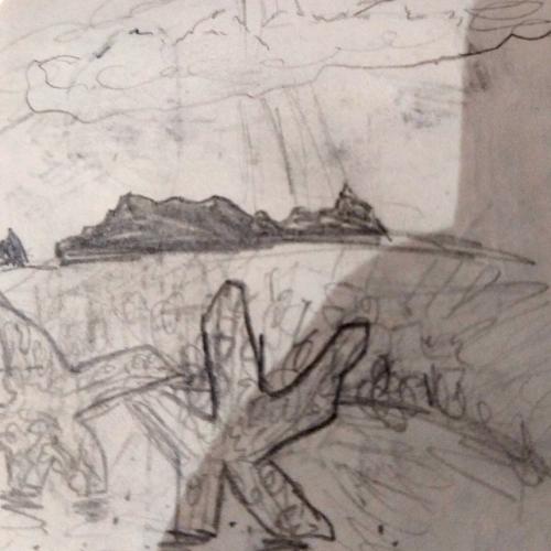 2 sich-sonnende Seesterne