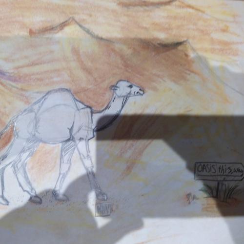 Fatima Ali Mahamed das camel